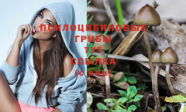прущие крисы Новочеркасск